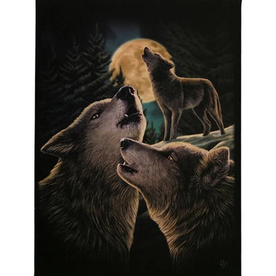 A Wolf Song Canvas Plaque By Lisa Parker Daisy Devotion