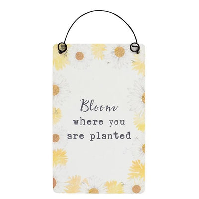 Bloom Where You Are Planted Bee-utiful Sign Daisy Devotion