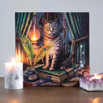 Book of Shadows Light Up Canvas Plaque by Lisa Parker Daisy Devotion
