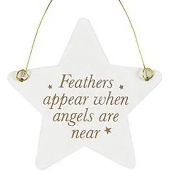 Feathers Appear When Angel Are Near - Mini Angel Sentiment Sign Daisy Devotion