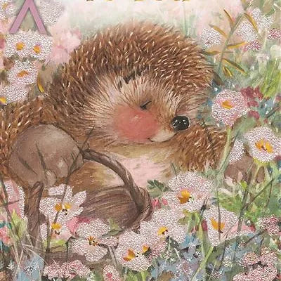 Country Companions Birthday Card Daisy Devotion