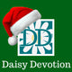 Daisy Devotion