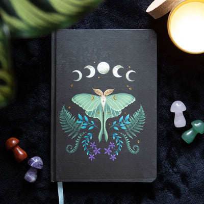 Luna Moth A5 Notebook Daisy Devotion