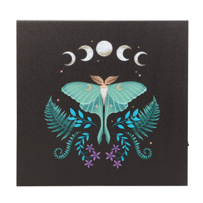 Luna Moth Light Up Canvas Plaque Daisy Devotion