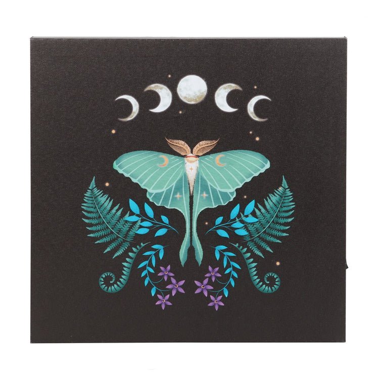Luna Moth Light Up Canvas Plaque Daisy Devotion