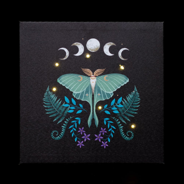 Luna Moth Light Up Canvas Plaque Daisy Devotion