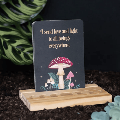 Dark Forest Affirmation Cards with Wooden Stand Daisy Devotion