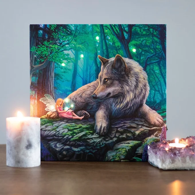 Fairy Stories Light Up Canvas Plaque by Lisa Parker Daisy Devotion