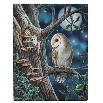Fairy Tales Canvas Plaque By Lisa Parker Daisy Devotion