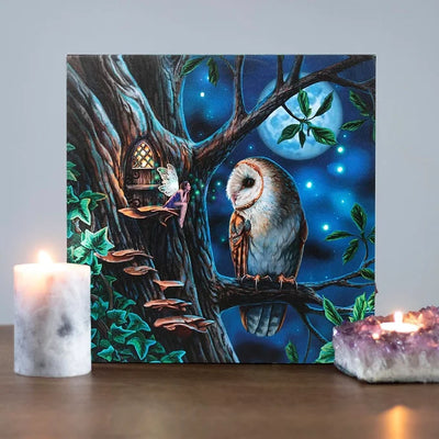 Fairy Tales Light Up Canvas Plaque by Lisa Parker Daisy Devotion