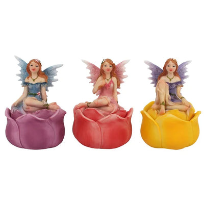 Fairy Trinket Box Daisy Devotion