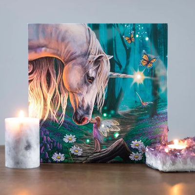 Fairy Whisper Light Up Canvas Plaque by Lisa Parker Daisy Devotion