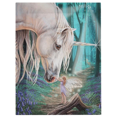Fairy Whispers Canvas Plaque By Lisa Parker Daisy Devotion