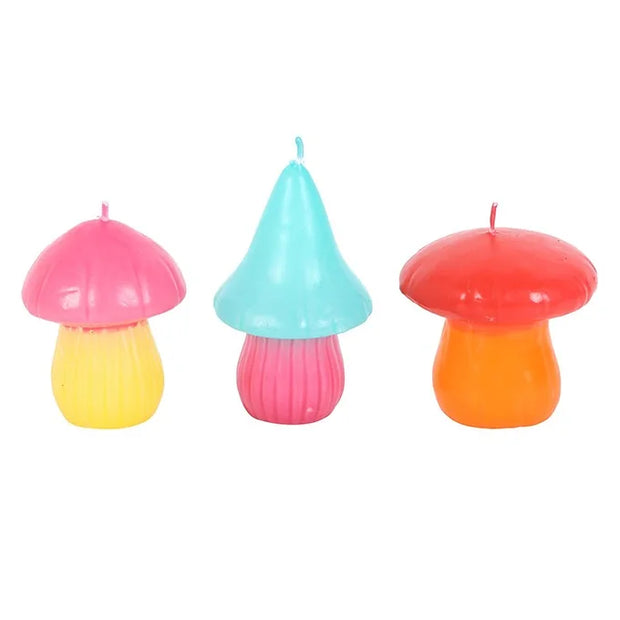 Funky Fungi Candles Daisy Devotion