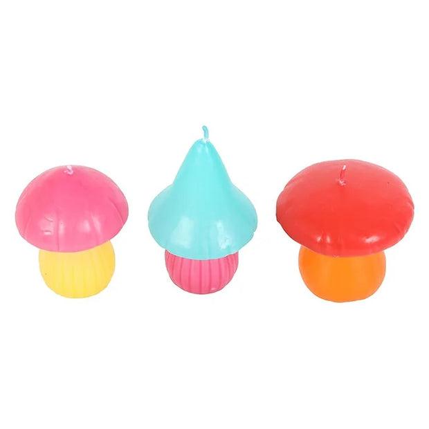 Funky Fungi Candles Daisy Devotion