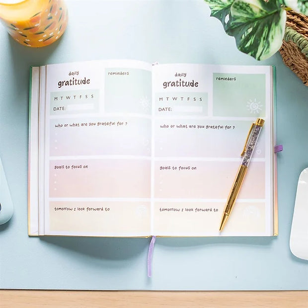 Gratitude Journal with Amethyst Pen Daisy Devotion