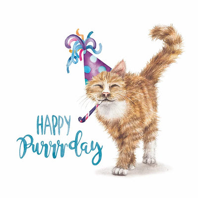 Happy Purrrday Card Daisy Devotion