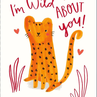 I’m Wild About You! Daisy Devotion