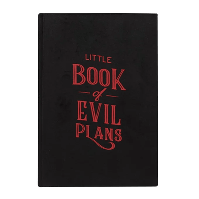 Little Book Of Evil Plans A5 Notebook Daisy Devotion