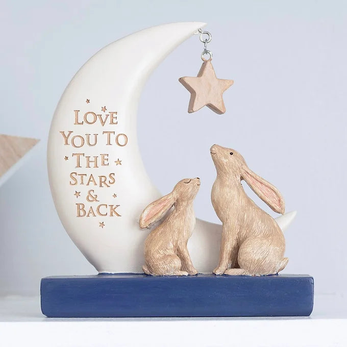 Love You To The Stars and Back Decorative Sign Daisy Devotion