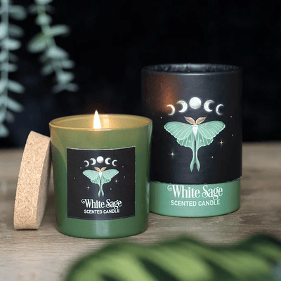 Luna Moth White Sage Candle Daisy Devotion