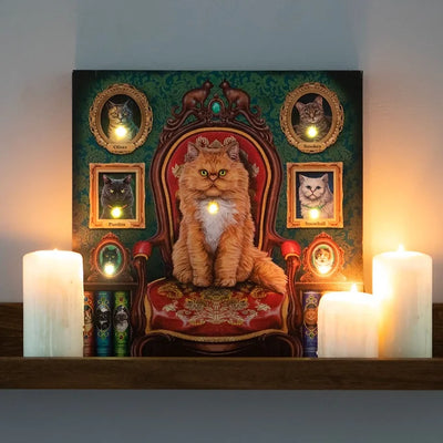 Mad About Cats Light Up Canvas By Lisa Parker Daisy Devotion