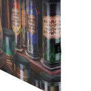 Magical Emporium Light Up Canvas Plaque by Lisa Parker Daisy Devotion