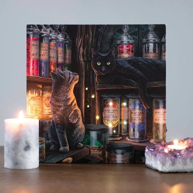 Magical Emporium Light Up Canvas Plaque by Lisa Parker Daisy Devotion