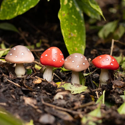 Mini Mushroom Plant Pot Pals Daisy Devotion
