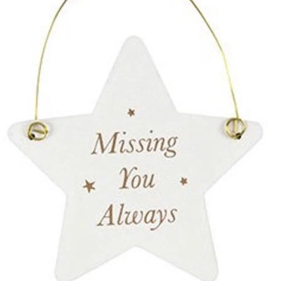 Missing You Always - Mini Angel Sentiment Sign Daisy Devotion