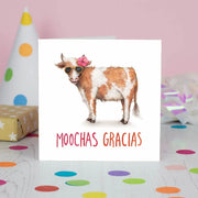 Moochas Gracias Card Daisy Devotion