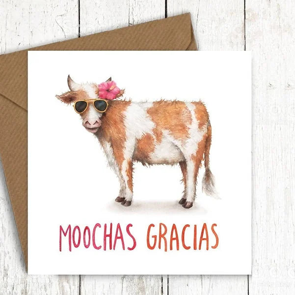 Moochas Gracias Card Daisy Devotion