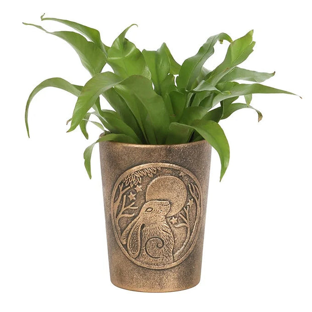 Moon Gazing Hare Bronze Terracotta Plant Pot Daisy Devotion