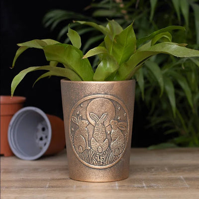 Moon Shadows Bronze Terracotta Plant Pot Daisy Devotion