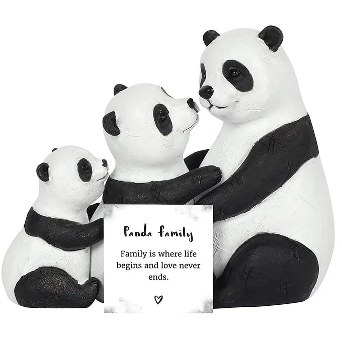 Panda Family Daisy Devotion