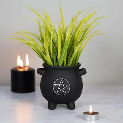 Pentagram Cauldron Plant Pot Daisy Devotion