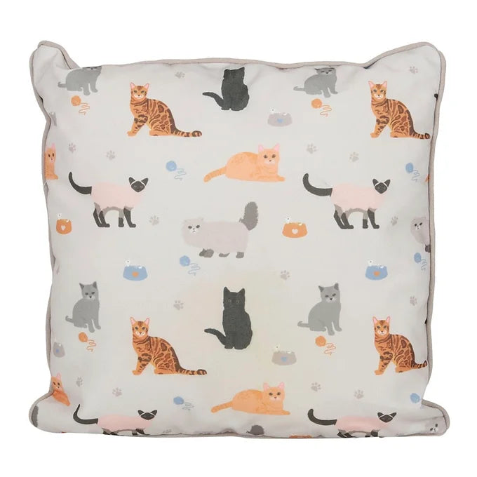 Reserved for the Cat Reversible Cushion Daisy Devotion