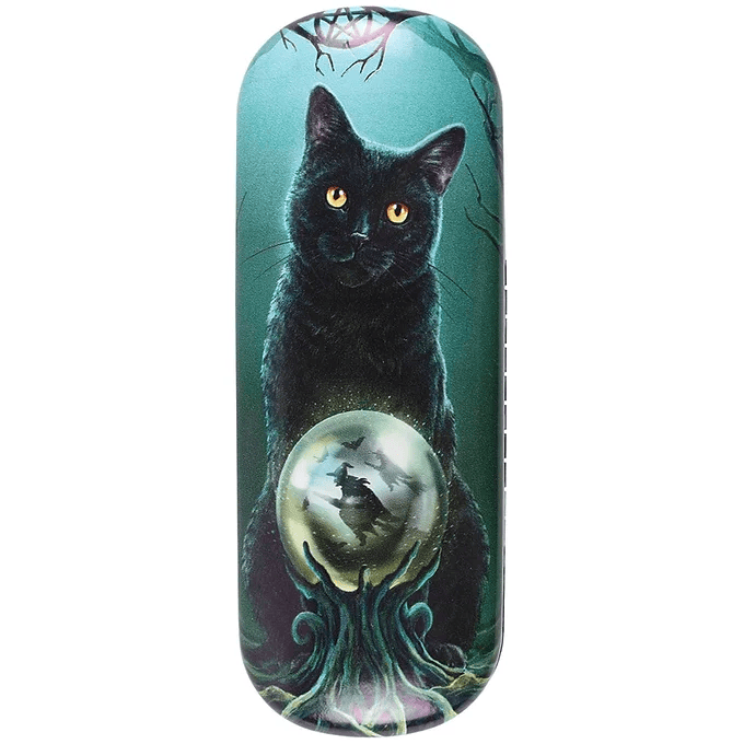 Rise of the Witches Glasses Case By Lisa Parker Daisy Devotion
