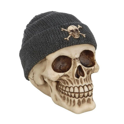 Skull Ornament with Beanie Daisy Devotion